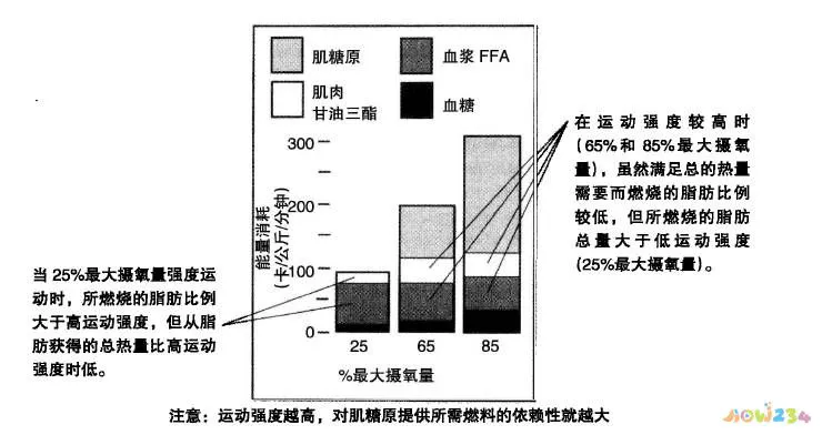 运动员增加体重吃什么热量最高_吃高热量加锻炼就可以增肌吗_热量高可以增肥吗