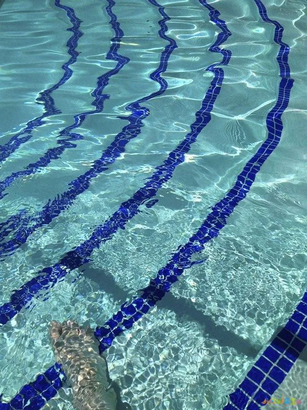 做什么运动减肥最快_减肥运动做有氧还是无氧_减肥运动做好时间段