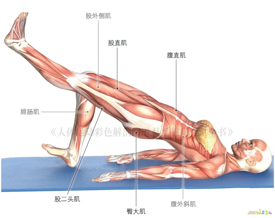 高强度跑步减脂吗_强度跑怎么跑_10公里跑的运动强度