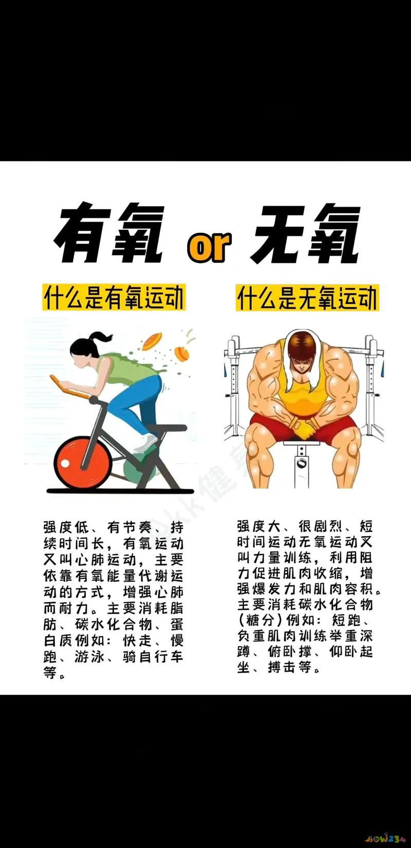 为什么有氧运动能减肥_运动吸氧减肥_有氧动力