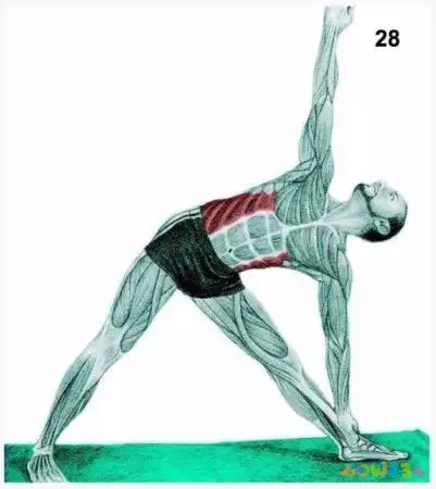 拉伸运动图片动作大全_运动拉伸动作图片_拉伸运动图片动作视频