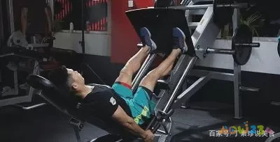 大腿内侧夹东西能减肥吗_自慰夹腿运动大腿内侧肌肉酸_大腿内夹锻炼哪里