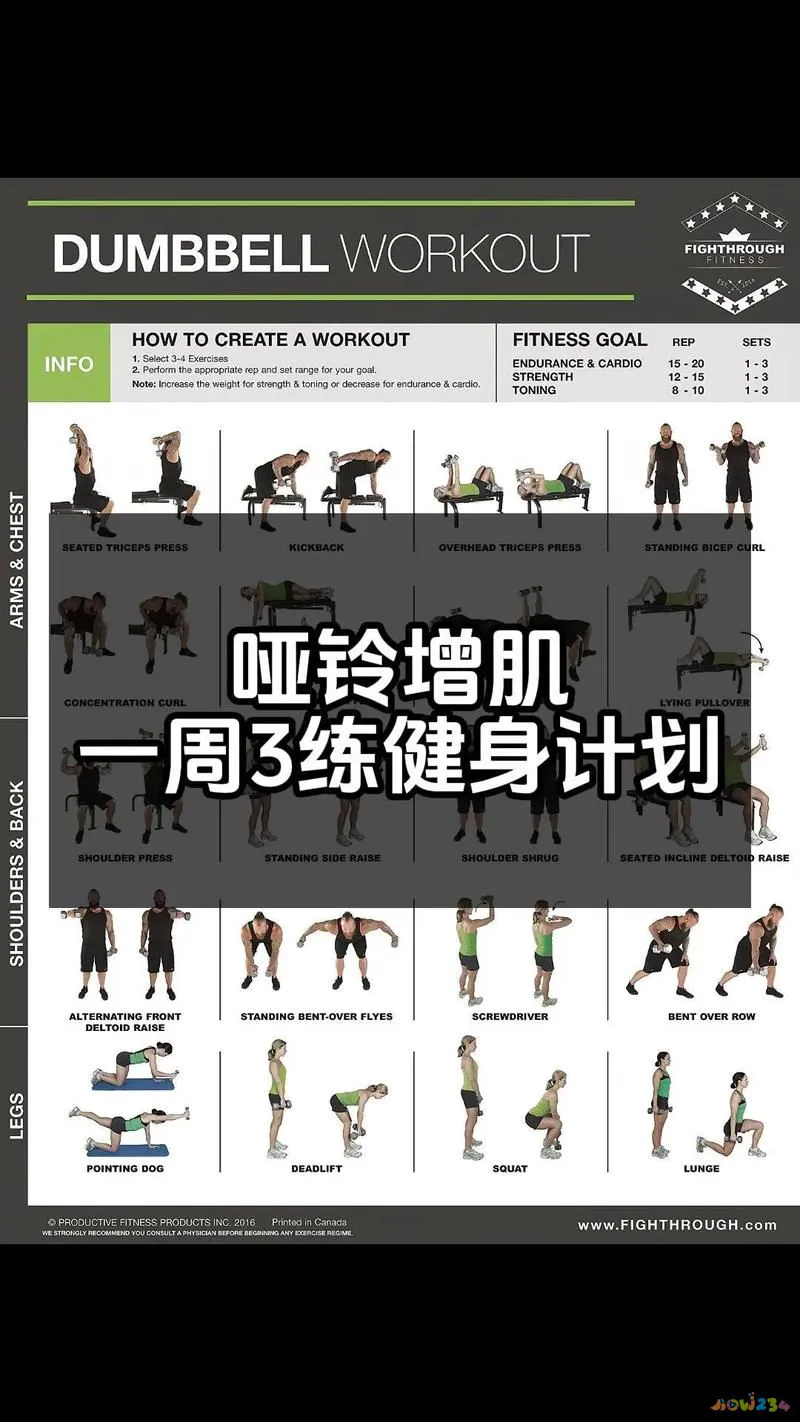 手臂要多长_手臂多久锻炼一次_减手臂运动多长