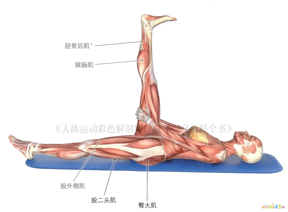 10公里跑的运动强度_强度跑怎么跑_高强度跑步减脂吗