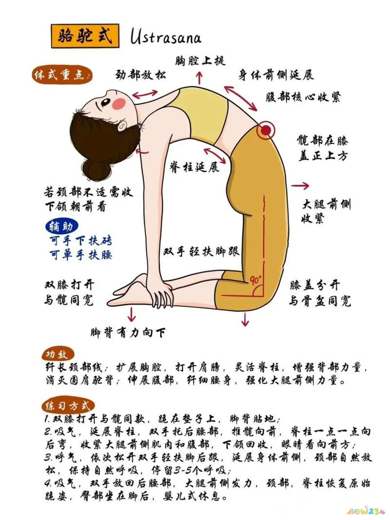 拉伸运动图片动作视频_运动拉伸动作图片_拉伸运动图片动作大全