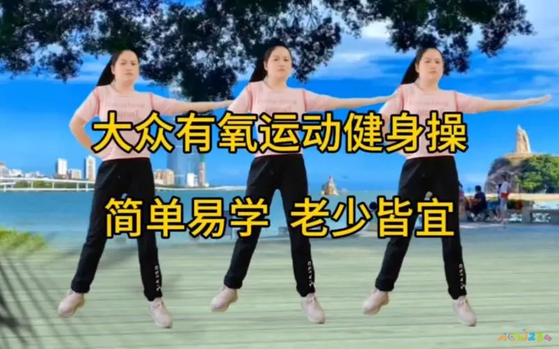 室内有氧运动_有氧运动室内_室内运动叫有氧运动吗