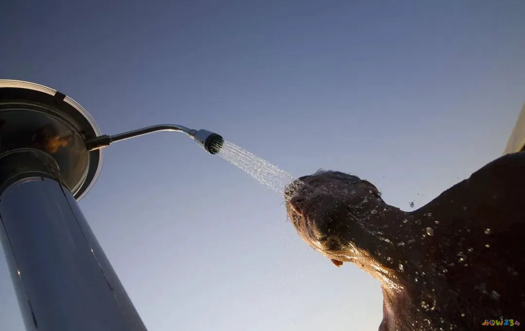 减肥快的运动方法_减肥运动方法瘦全身_减肥运动方法瘦肚子和大腿运动