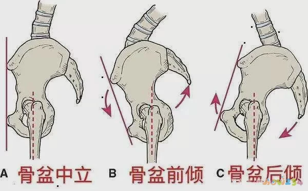 深蹲髋关节受伤_深蹲髋关节运动损伤_关节损伤运动深蹲髋关节疼