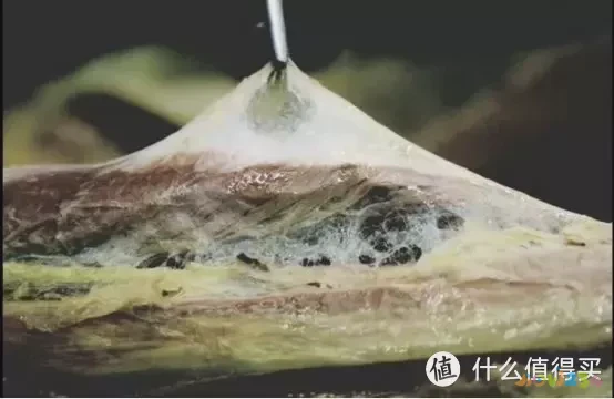 被吹上天的筋膜枪真的有用吗？看完实验数据你就知道了