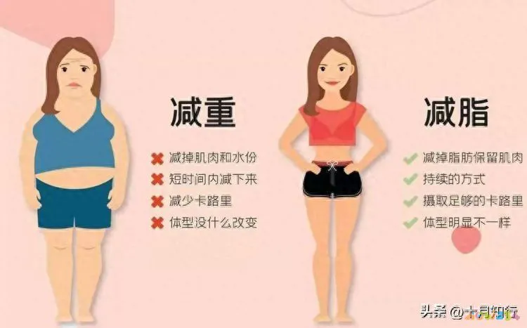 不运动控制饮食可以减肥吗_减肥饮食怎么控制_减肥饮食运动控制可以减肥