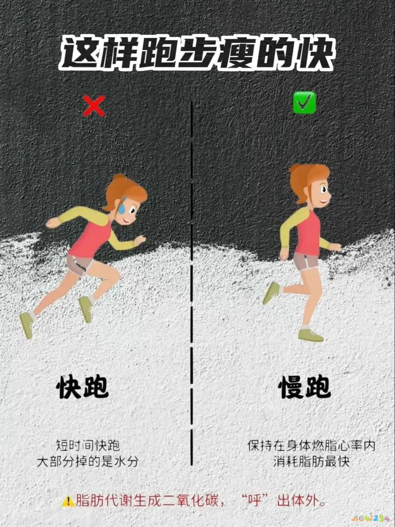 运动减肥法视频_运动减肥法_减肥运动方法视频教程