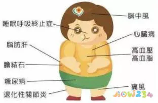 肥胖人士适合什么运动_肥胖运动适合跑步吗_肥胖适合那些运动