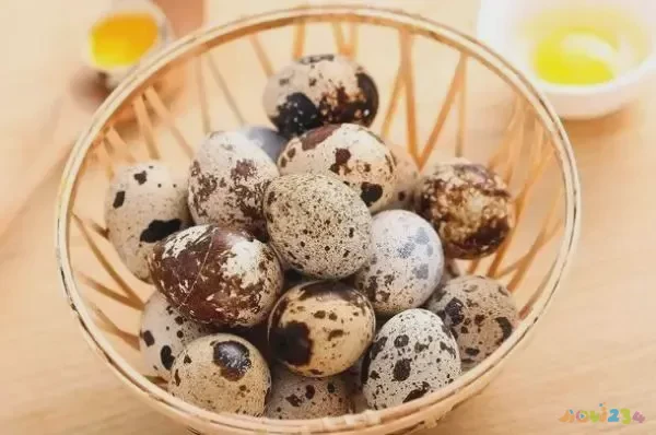 女人运动好吗_女人运动安排_女人运动的十大好处