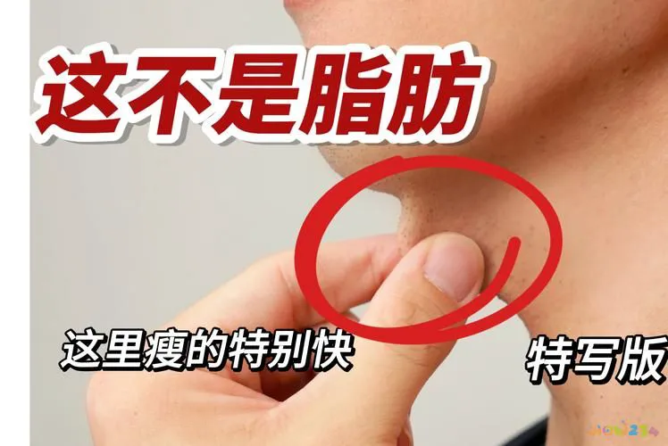 腿部脂肪做什么运动_做什么运动可以消除腿部脂肪_脂肪腿运动完之后需要拉伸吗