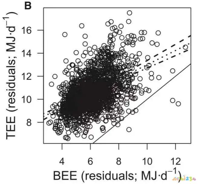 减肥运动更多吃得什么_运动减肥反而吃得更多_减肥运动更多吃得还是吃的