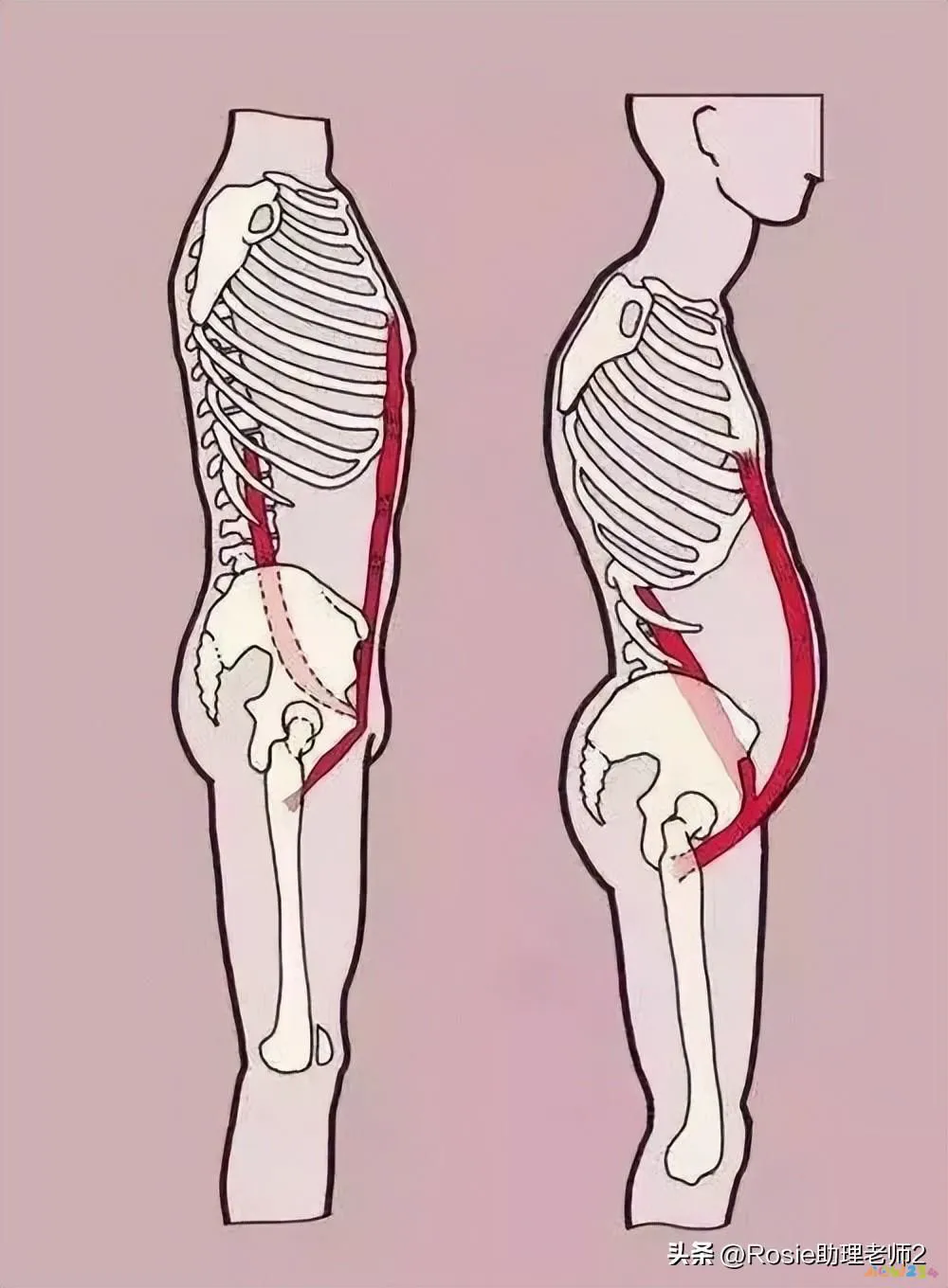 鼓肚子运动收腹做什么运动_经常做收腹鼓肚子运动_收腹鼓肚能锻炼吗