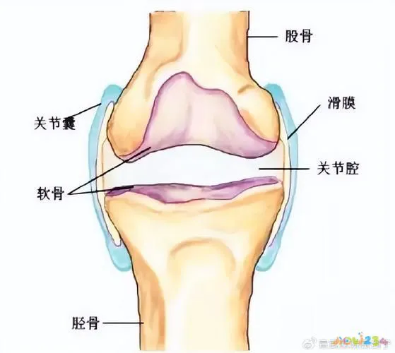 膝盖疼运动过度_运动导致的膝盖疼痛_运动的膝盖疼还能运动吗