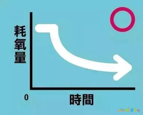 脂肪消耗后变成什么_有氧运动 停止后还能 消耗脂肪_脂肪消耗是在运动中还是运动后