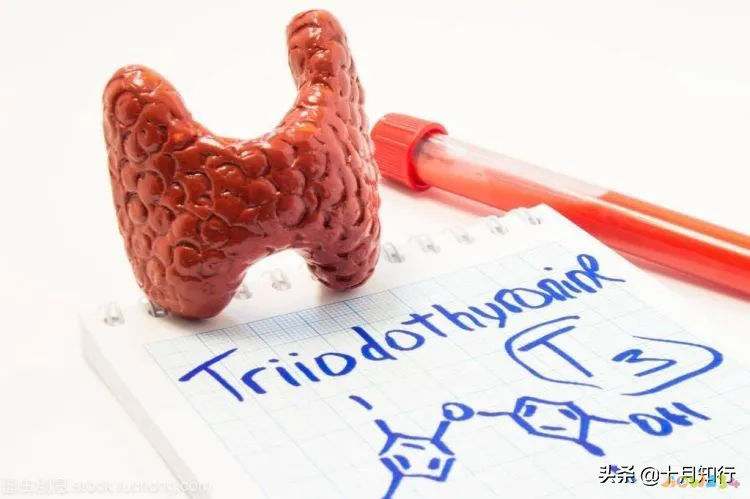 运动减肥不但没瘦反而_做运动没有瘦_减脂运动不瘦还胖了