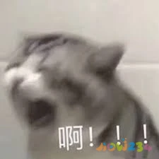 反弹减肥开始运动时候怎么办_运动减肥反弹什么时候开始_减肥运动反弹了怎么办