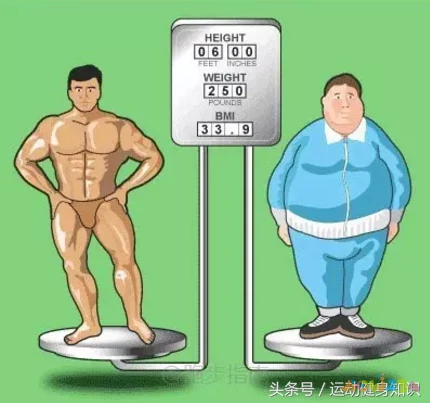 水中减脂训练_水下运动减肥_减肥运动水下运动区别