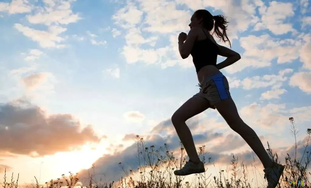 减肥运动用有效果吗_减肥最有用的运动_减肥运动用有氧运动吗
