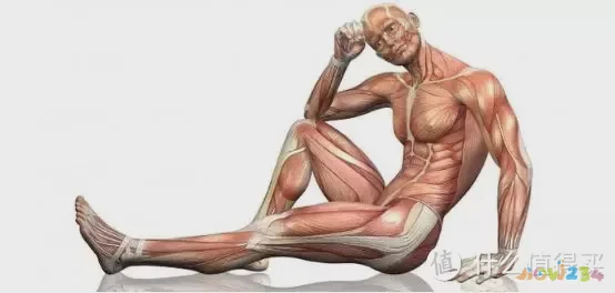 被吹上天的筋膜枪真的有用吗？看完实验数据你就知道了