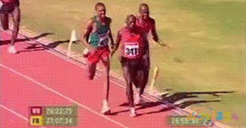 减肥运动快速燃脂_减肥运动的最佳时间_减肥最快运动