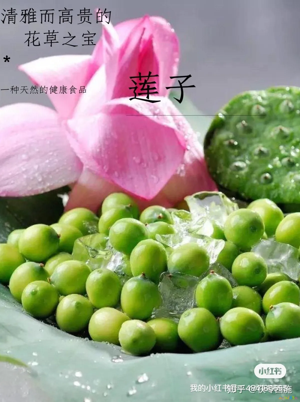 跳绳减肥明星运动视频_跳绳减肥明星运动员有哪些_明星减肥运动跳绳