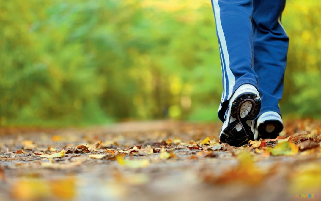 怎么健康运动减肥_减肥运动健康app_运动健康减肥法