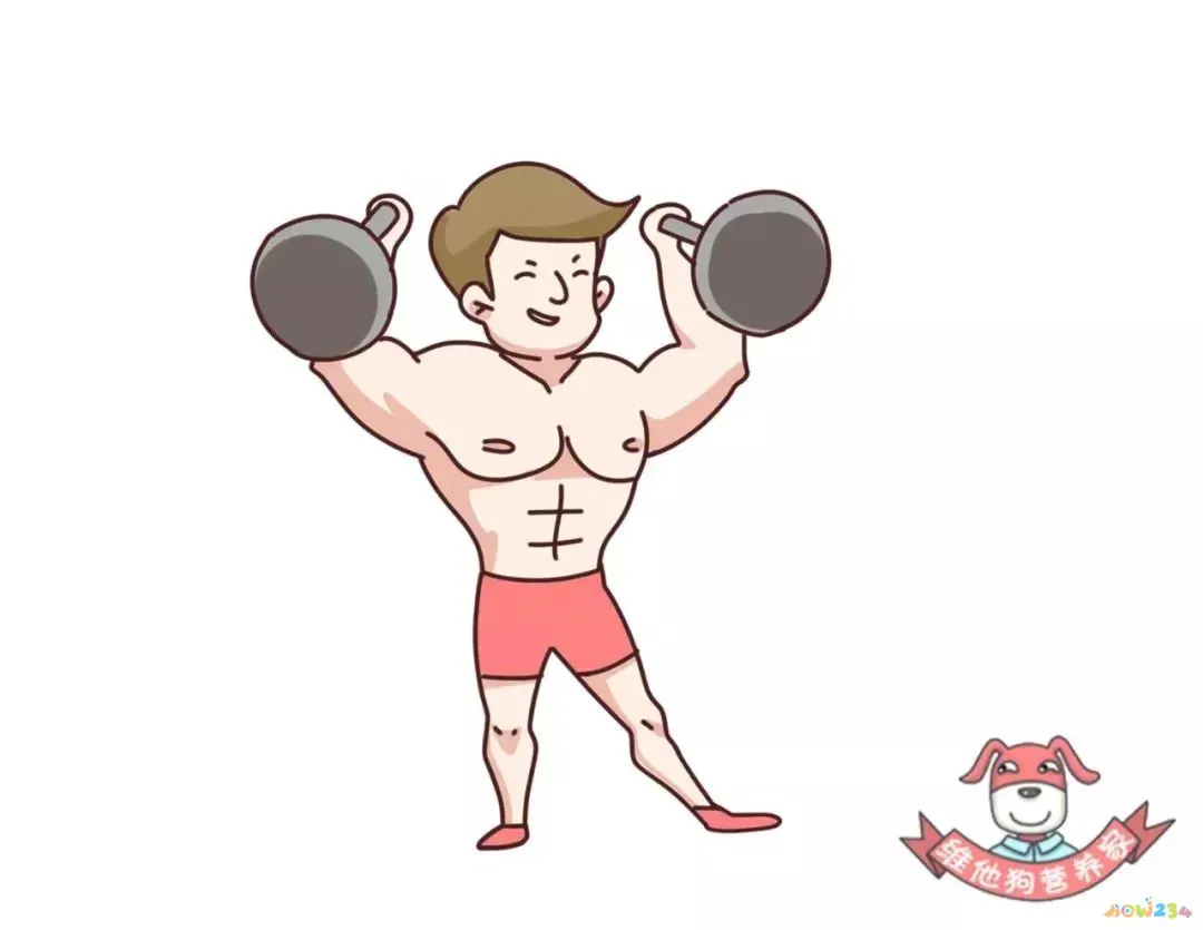 蛋白粉应该运动前喝_运动前喝蛋白粉_蛋白粉运动前喝好