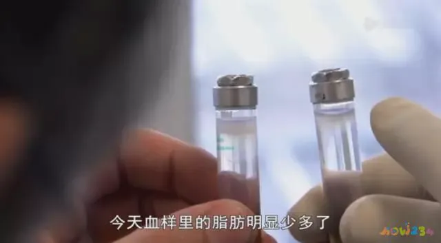 减脂期无氧运动_运动期减脂无氧可以吗_减脂期无氧运动多长时间