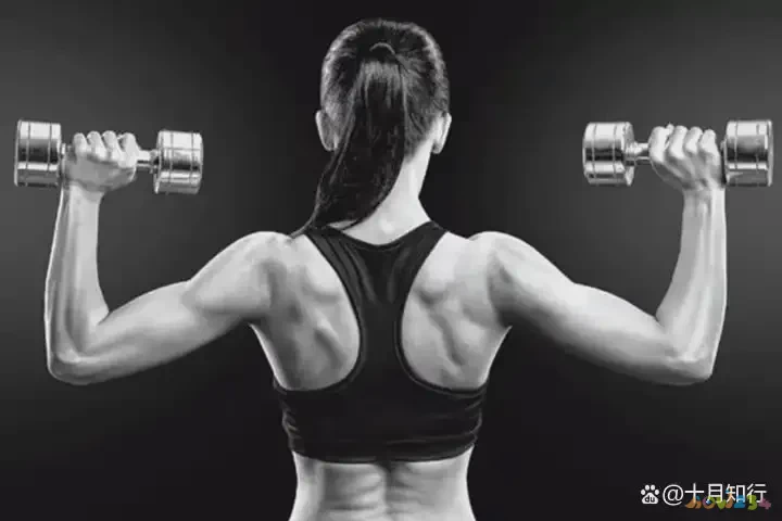 什么运动练肩_练肩rm_练肩的健身动作