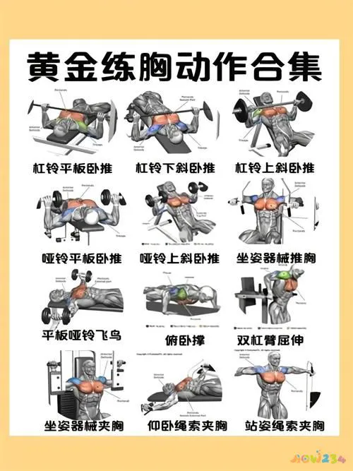 健美操脸上的装饰_运动面是啥 健美操_健美操的运动