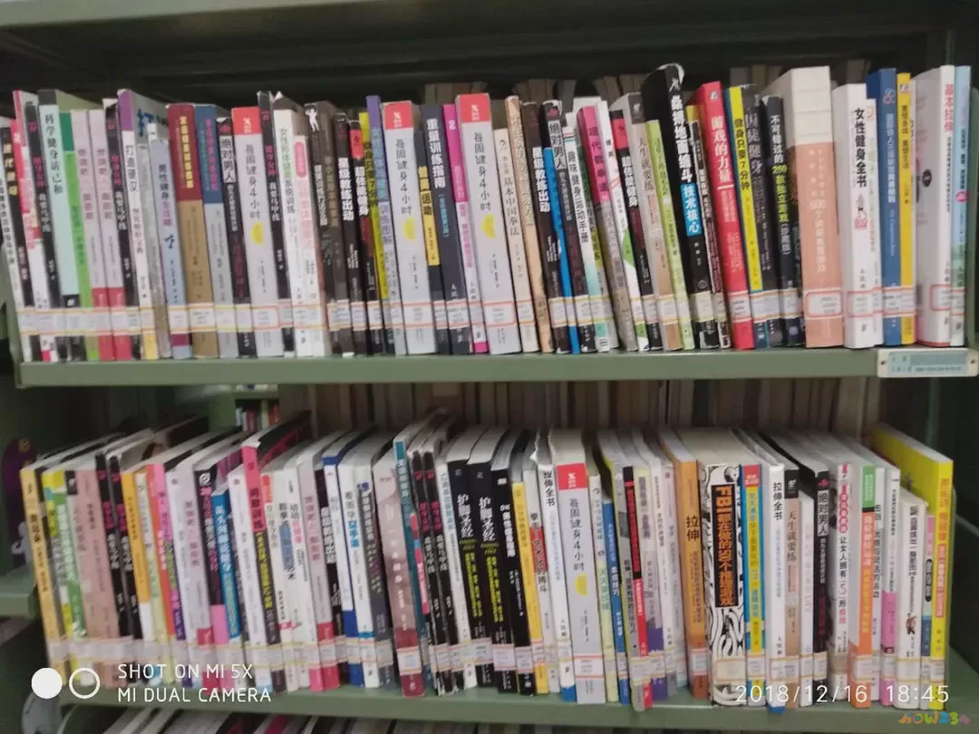 运动减肥比较慢为什么_运动减肥见效慢_减肥慢运动比较容易瘦吗