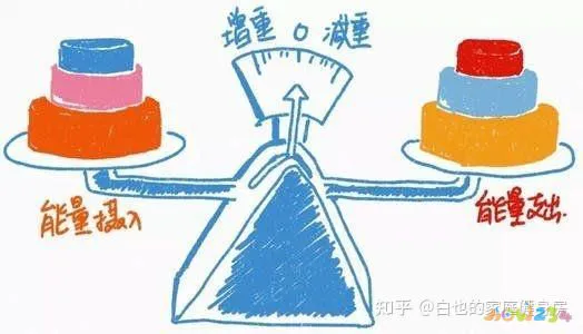 心率在多少最减脂_心率多少适合减脂_减脂运动 心率