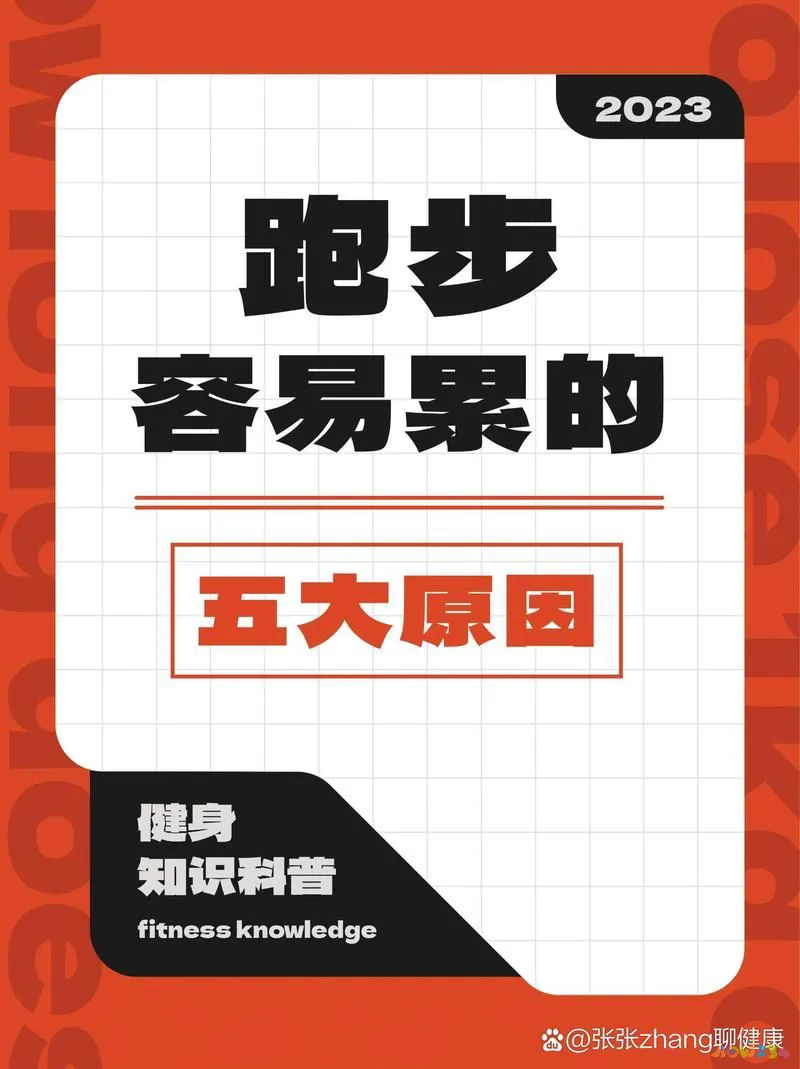 提肛运动能紧缩阴道吗_腿不动的有氧运动_有氧运动能使腿