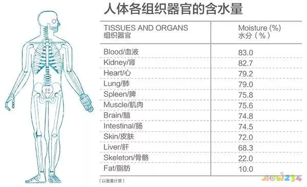 运动后不喝水会瘦吗_运动后喝水会导致体重_运动后喝水会会变胖
