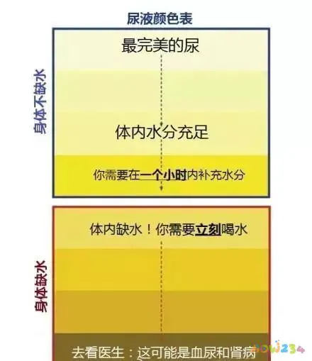 运动后喝水会导致体重_运动后不喝水会瘦吗_运动后喝水会会变胖