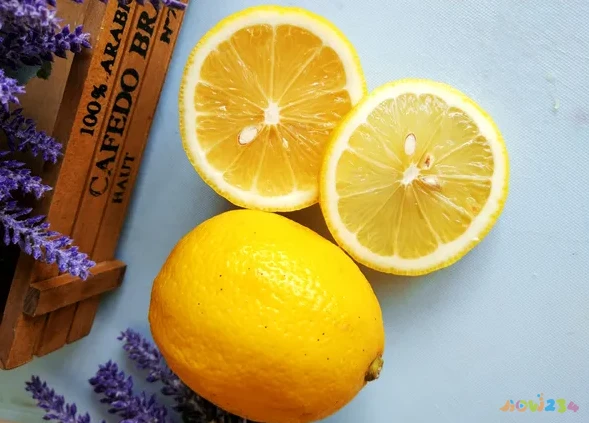 不吃药减肥最快秘籍 四大懒人减肥攻略见效神速