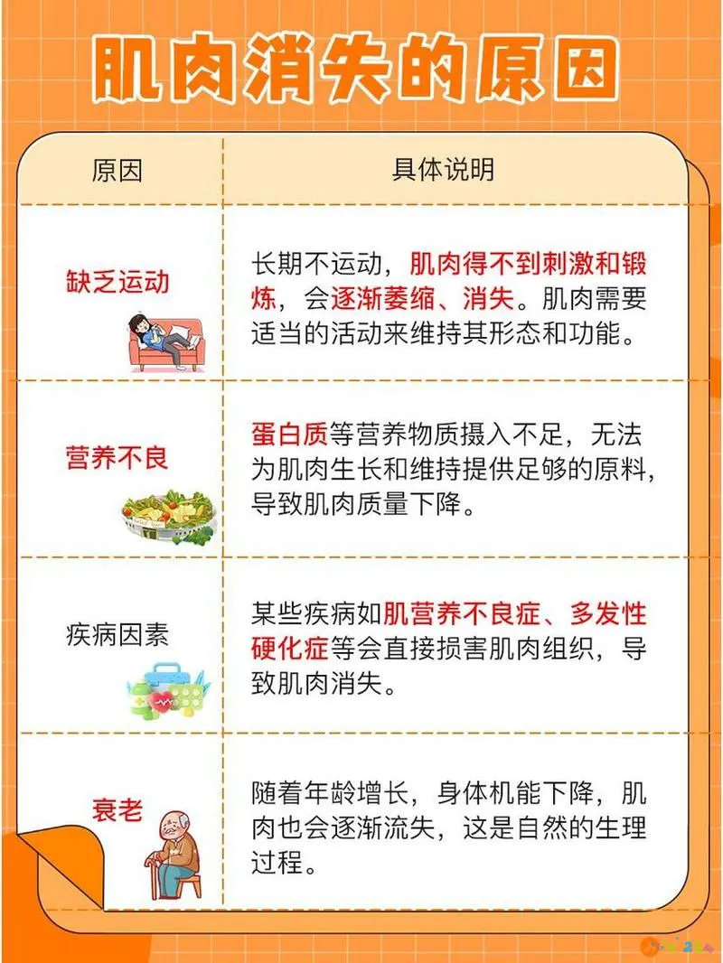 蛋白质运动需要蛋白质吗_蛋白质运动作用_运动需要蛋白质