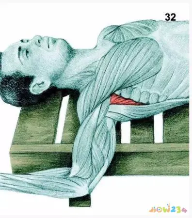 拉伸运动图片动作视频_运动拉伸动作图片_拉伸运动图片动作大全