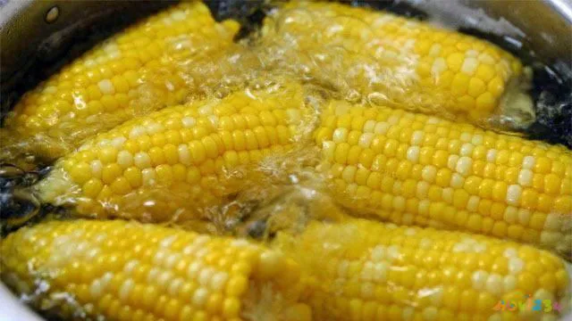 月经能做运动减肥_来月经可以做什么运动减肥_月经减肥运动做来可以瘦肚子吗