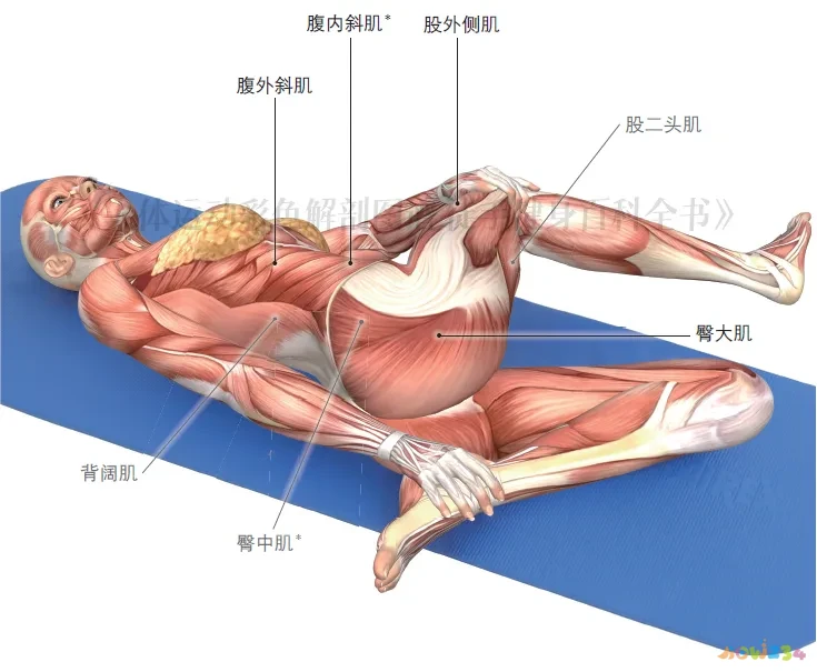 强度跑怎么跑_10公里跑的运动强度_高强度跑步减脂吗