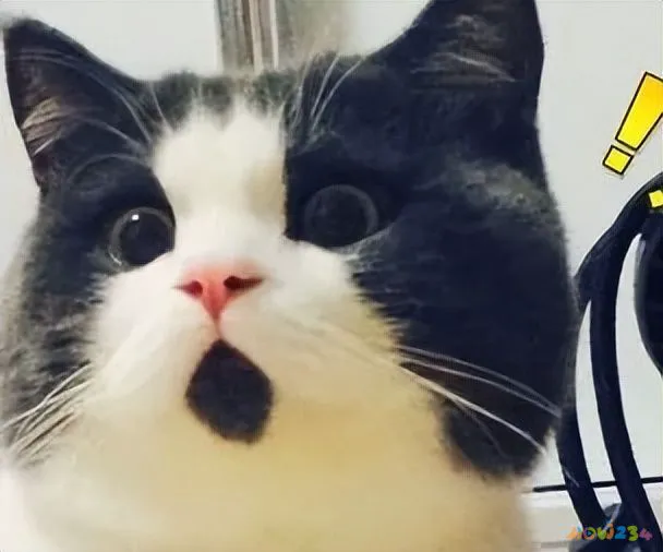 椅子抬腿法_坐在椅子上抬腿有什么好处_坐椅子上做抬腿运动