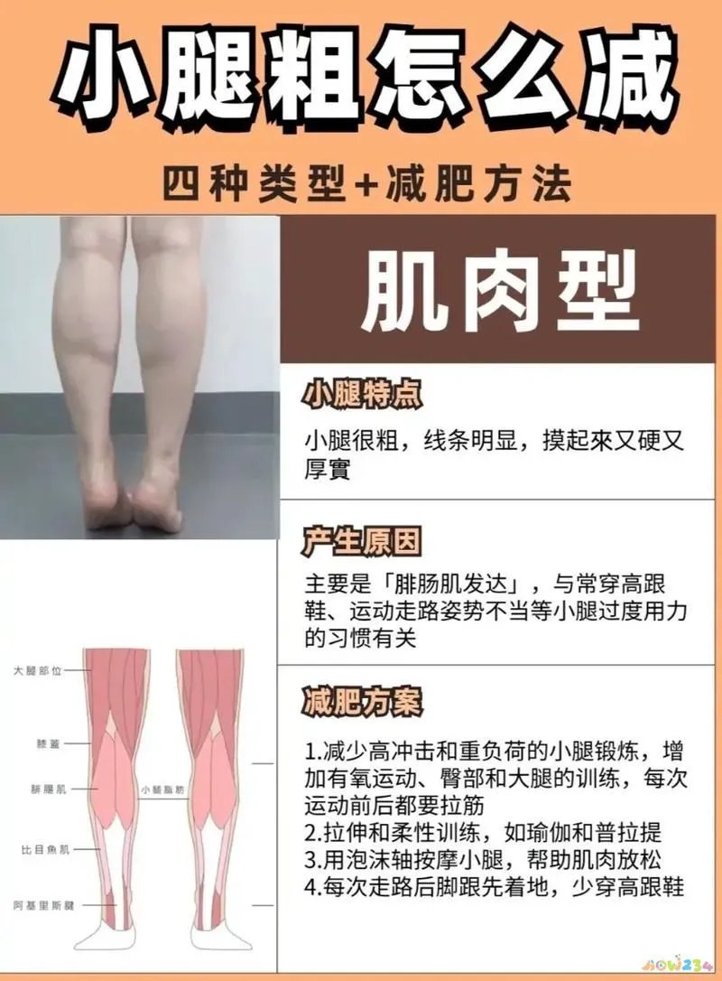 瘦腿运动可以天天做吗_什么运动可以减腿_可以减腿吗