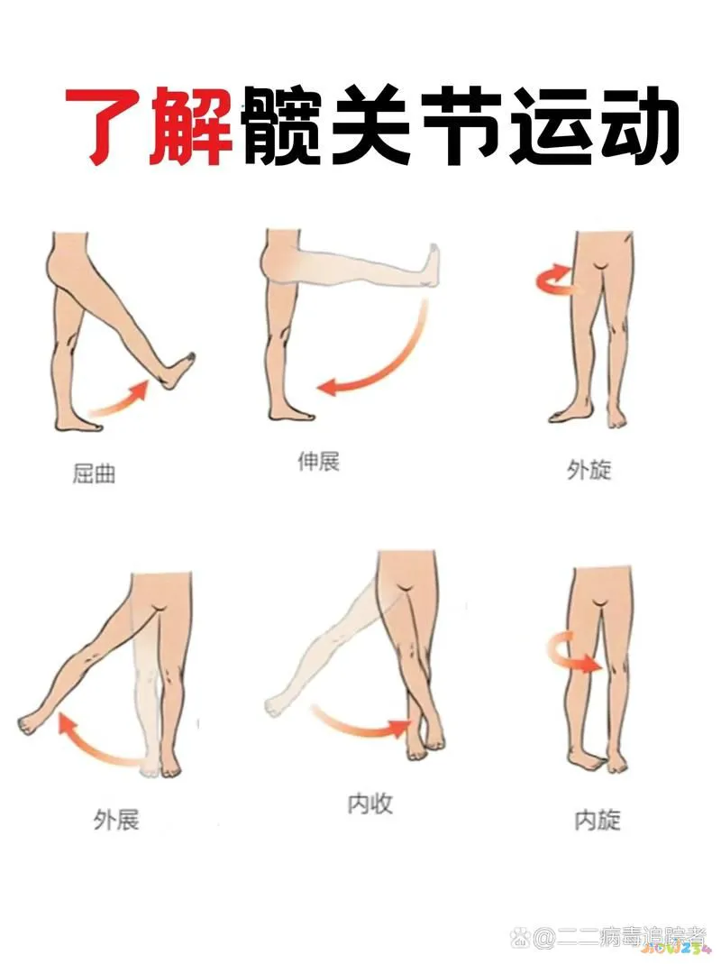 关节损伤运动深蹲髋关节疼痛_深蹲髋关节做什么运动_深蹲髋关节运动损伤
