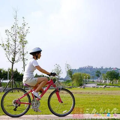 瘦腹运动快速有效果吗_快速瘦腹运动_瘦腹运动快速减肥方法