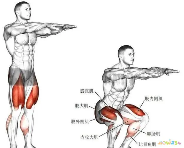 瘦肚子的运动_什么运动瘦肚子最快最有效_瘦肚子运动有效果吗女生