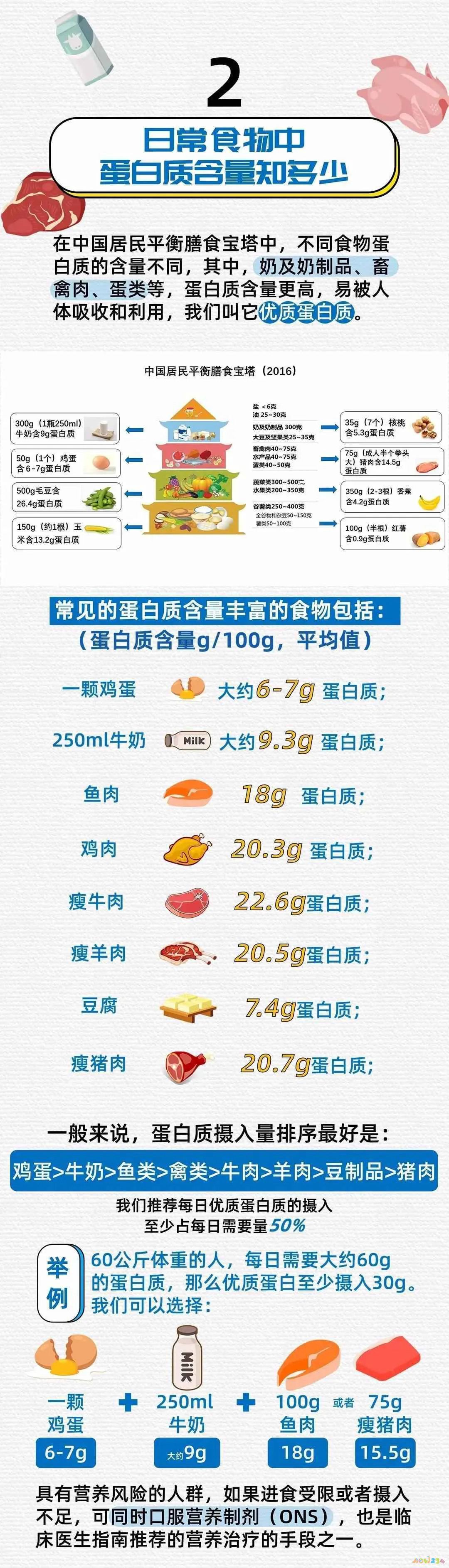 蛋白质运动前还是运动后_蛋白质运动需要什么酶_运动需要蛋白质